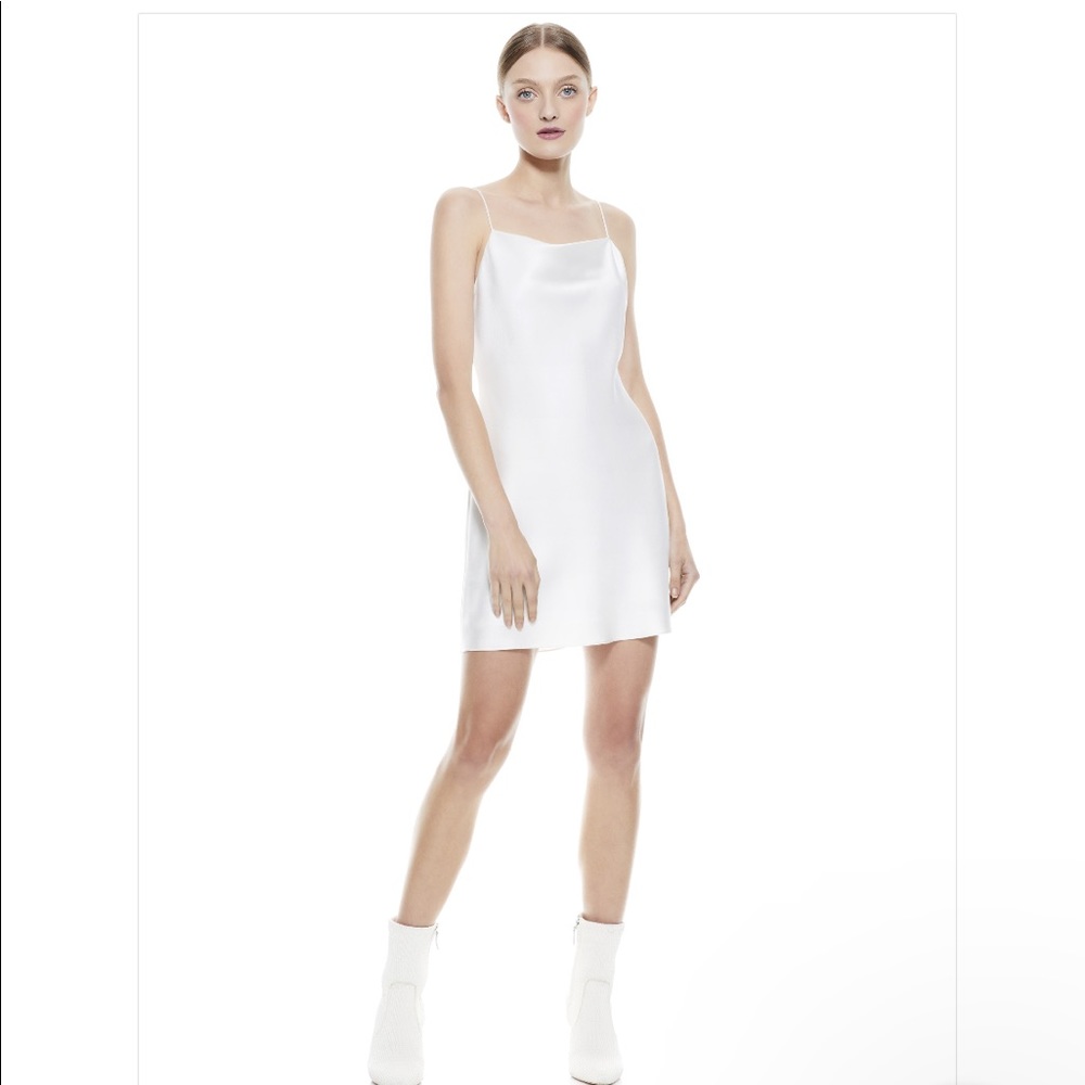 Alice & Olivia Silk Harmony Skip Dress